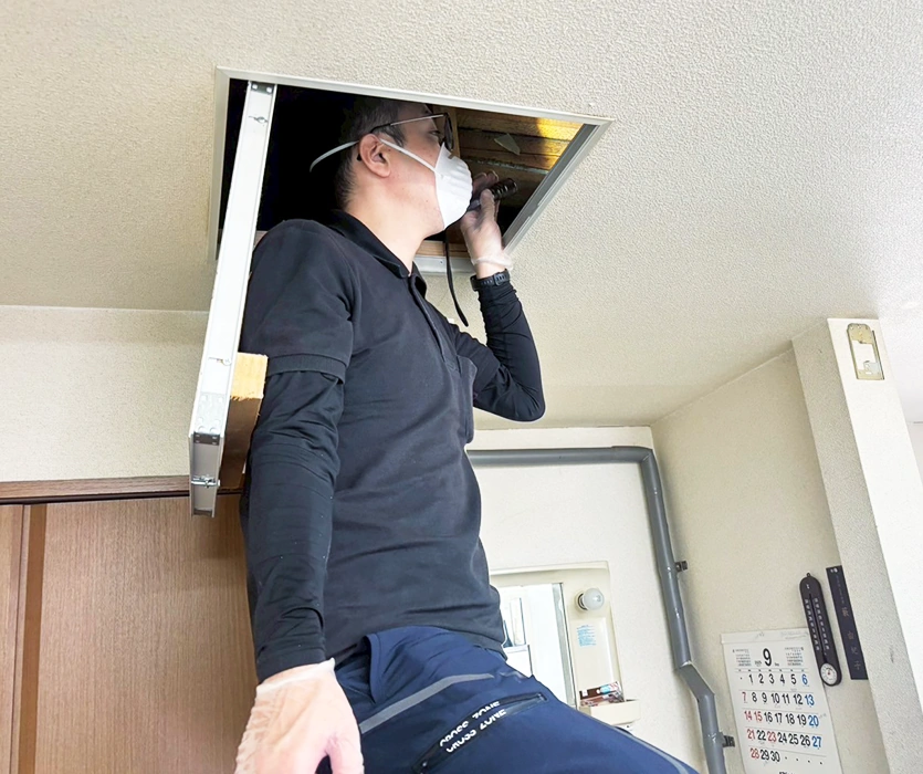 天井裏の害獣対策