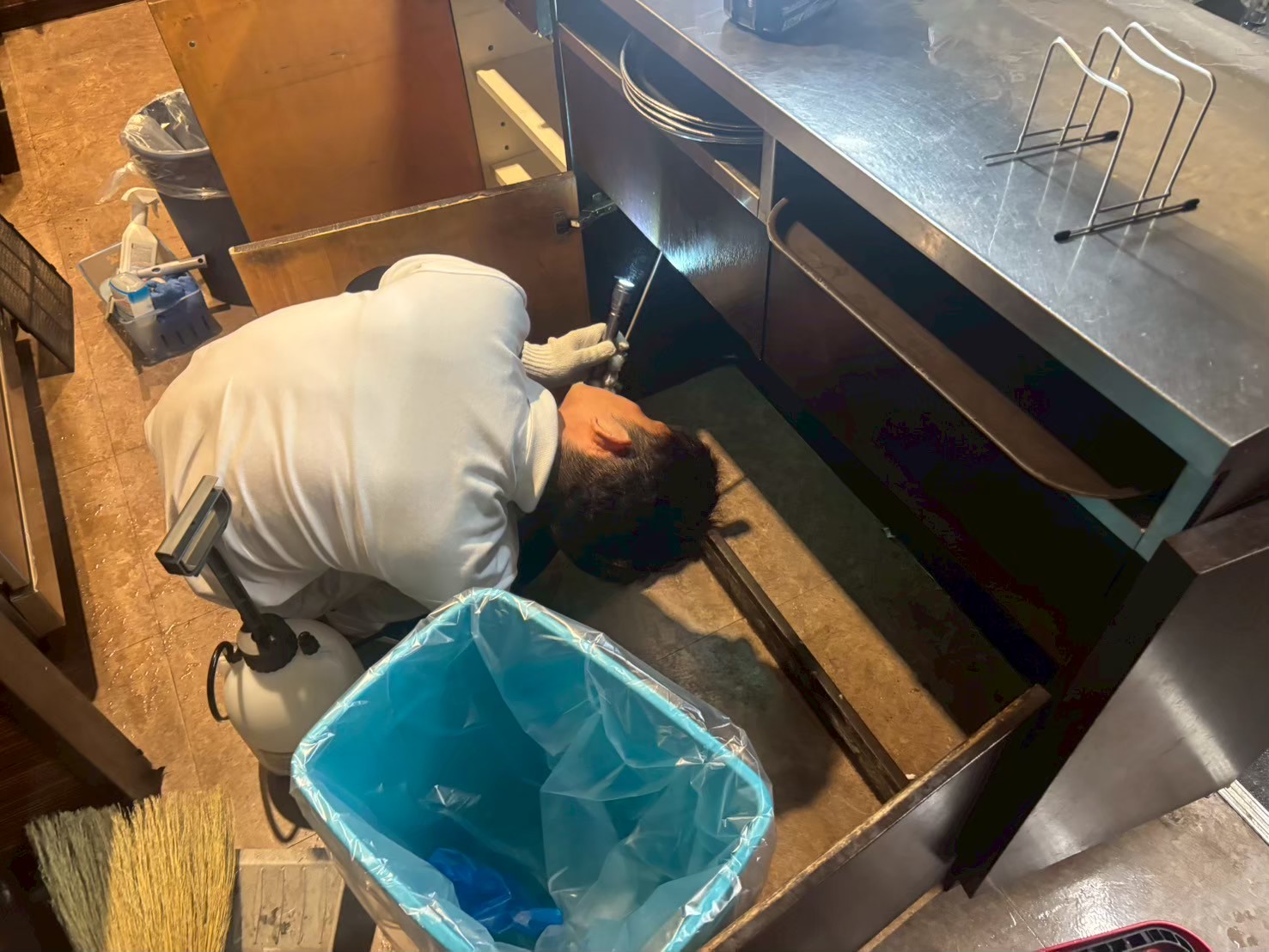 飲食店　ゴキブリ駆除