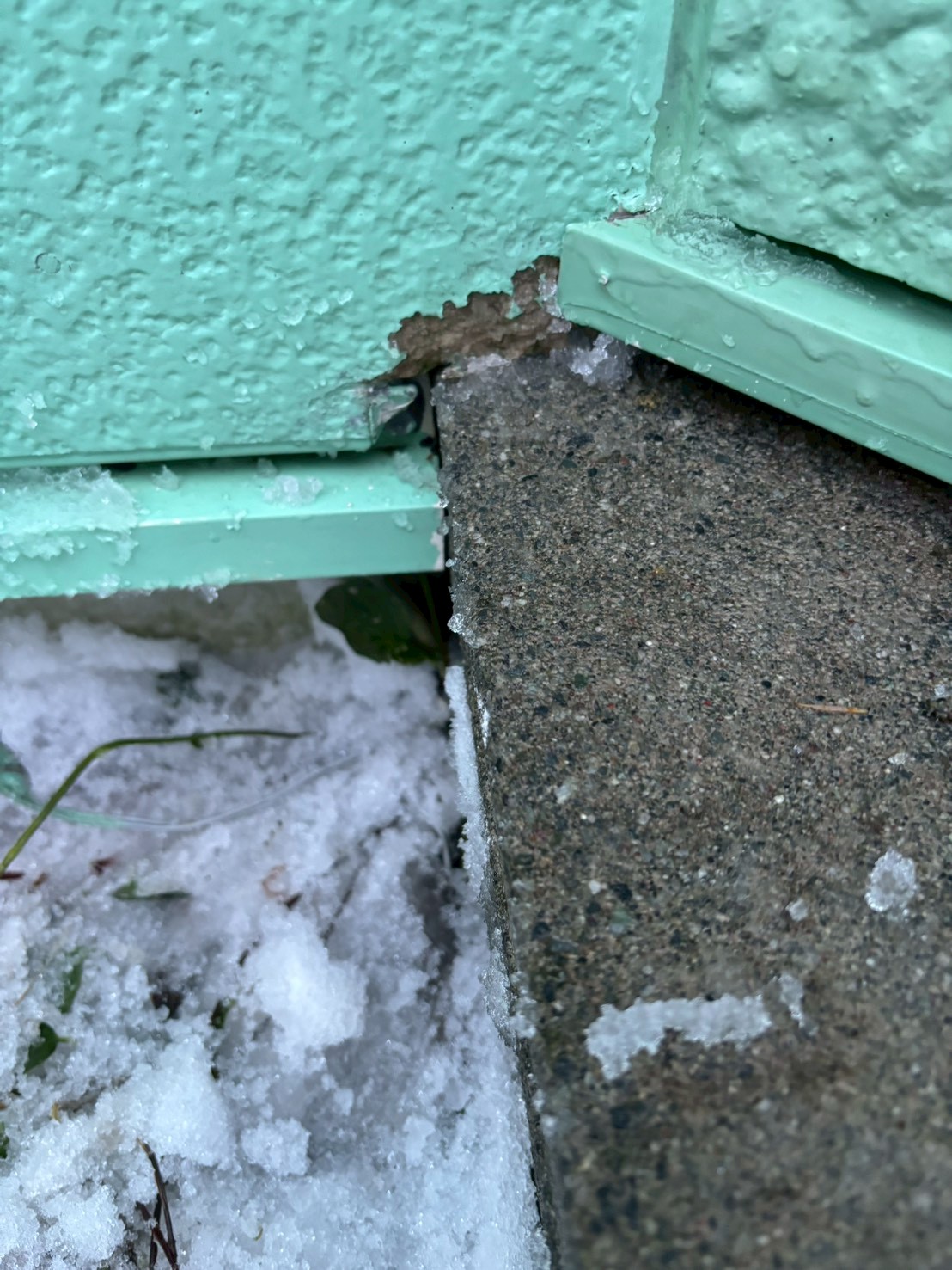 市外　K邸　ねずみ駆除　