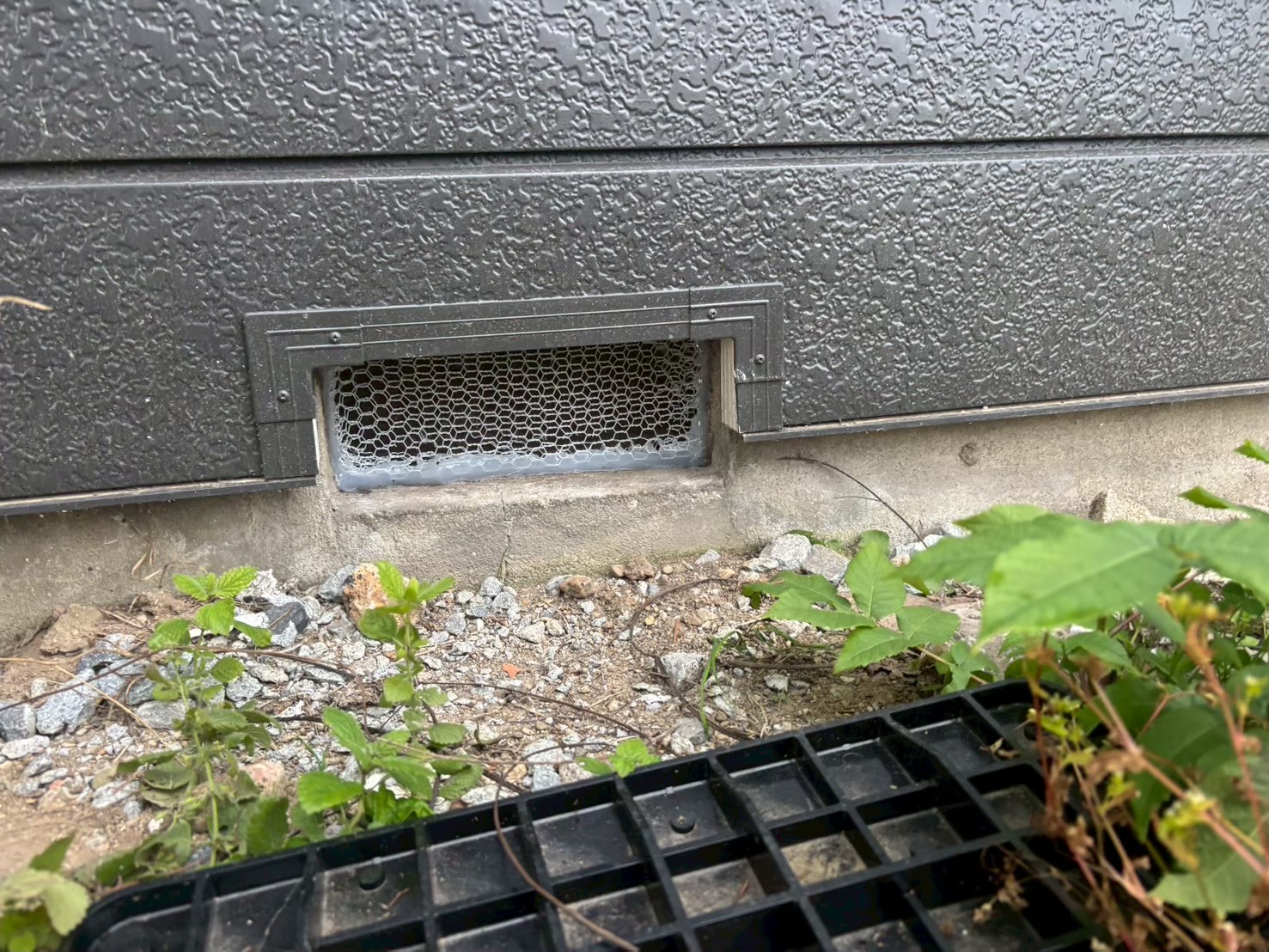 市外　I邸　ねずみ駆除