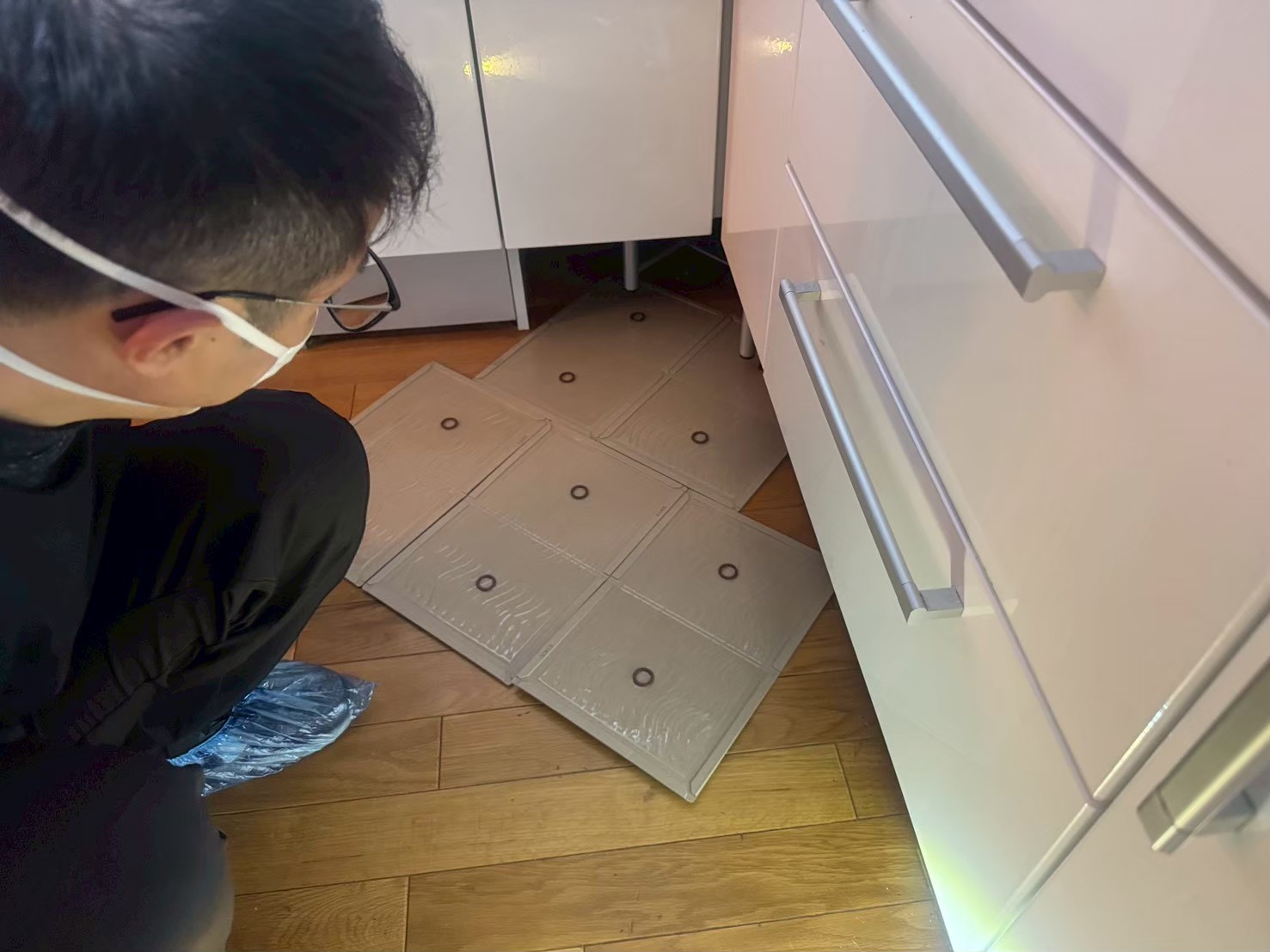 市外　ねずみ駆除