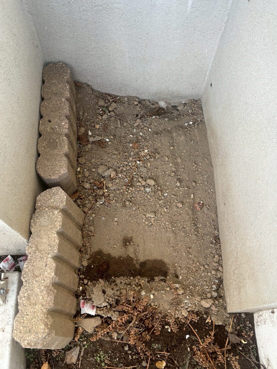 手稲区 O邸 ねずみ駆除 手稲区 O邸 ねずみ駆除