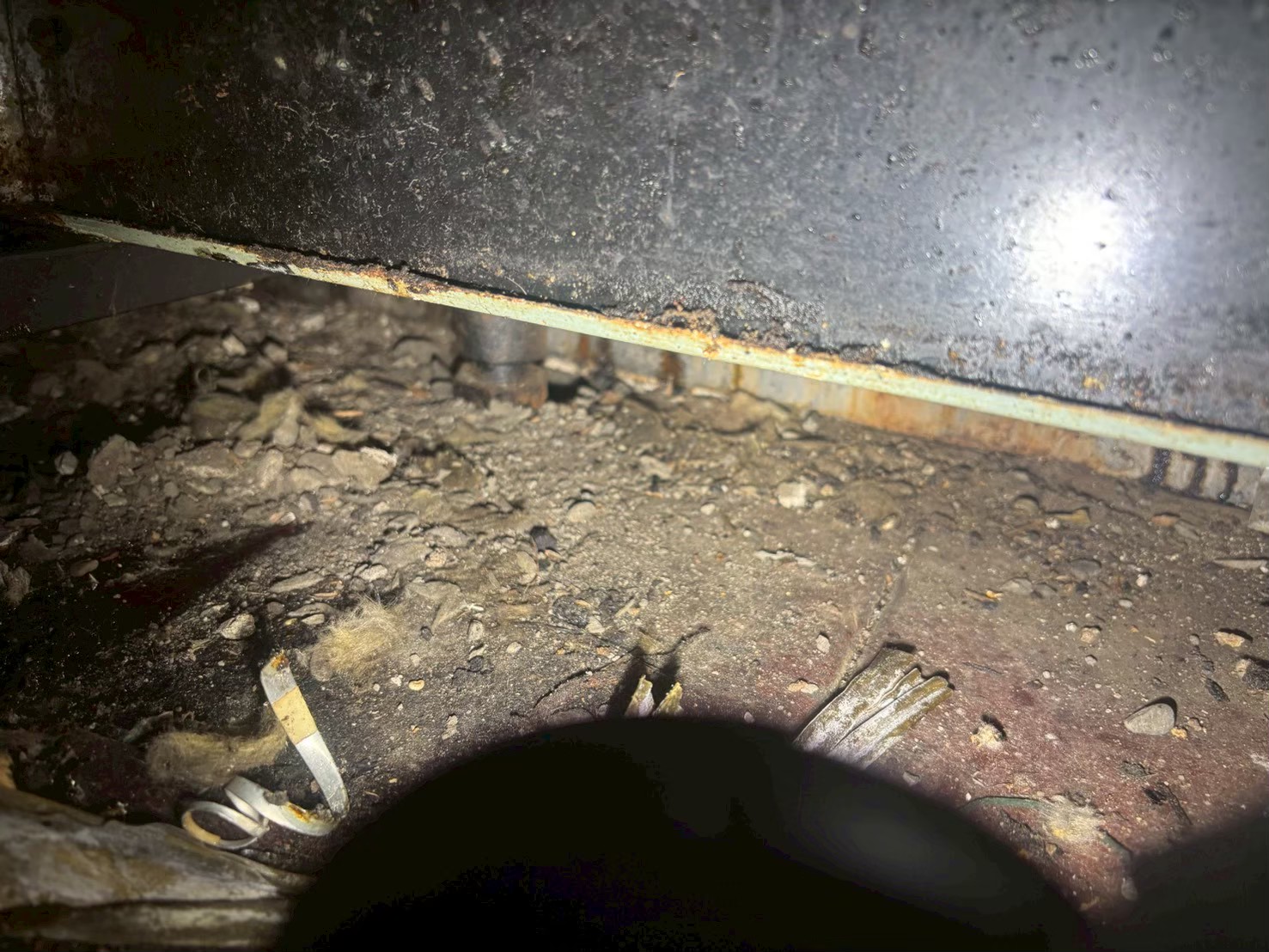 中央区　N邸　ねずみ駆除