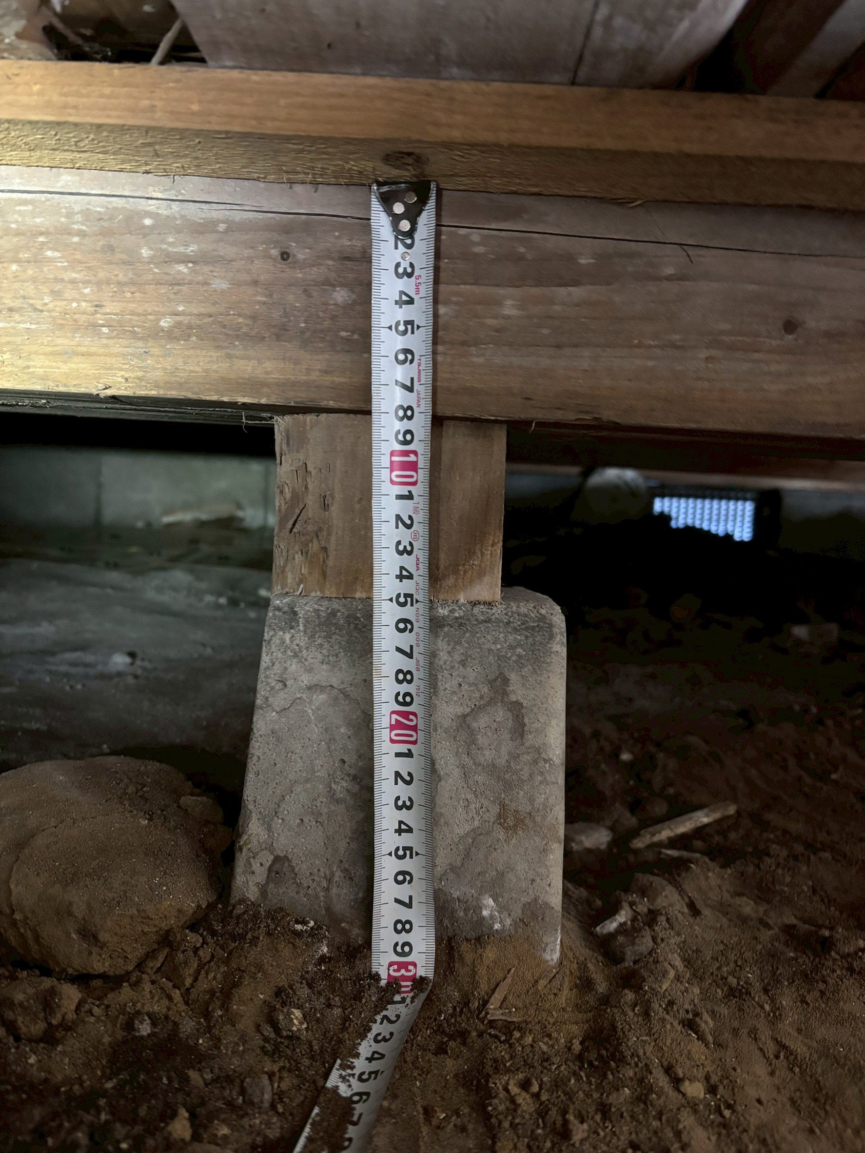 中央区　N邸　ねずみ駆除